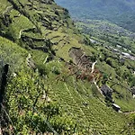 Nyaraló Casa Dell'olivo *